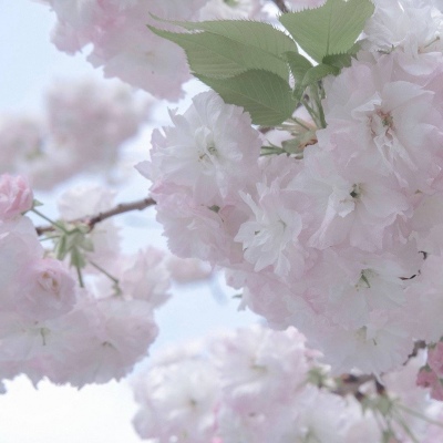 Furry插画光影处理技巧兽圈社群